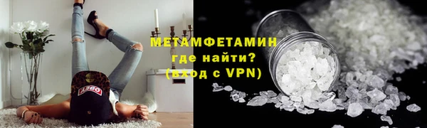 индика Волоколамск
