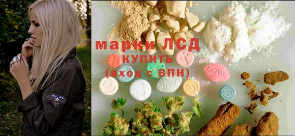 стаф Козловка
