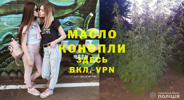 стаф Козловка
