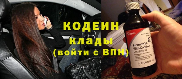 стаф Козловка