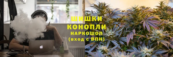 стаф Козловка