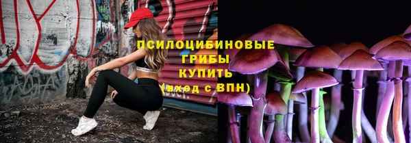 МДМА Горнозаводск