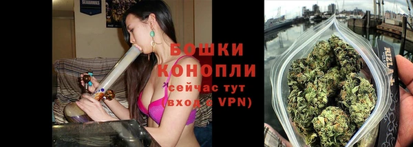 стаф Козловка