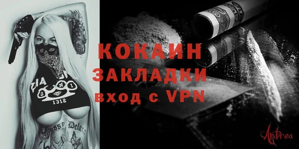 стаф Козловка