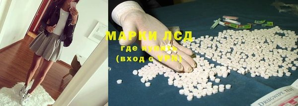 стаф Козловка
