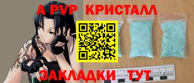 гашик Кингисепп