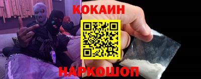 гашик Кингисепп