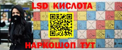 гашик Кингисепп