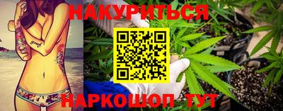 гашик Кингисепп