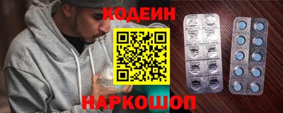 гашик Кингисепп