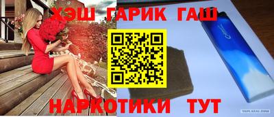 гашик Кингисепп