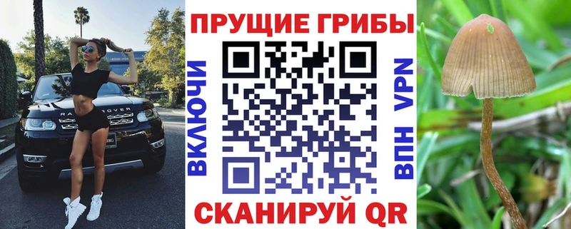 Псилоцибиновые грибы мухоморы shop телеграм Ногинск