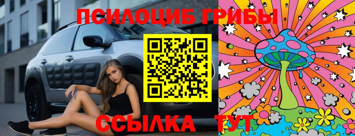 Галлюциногенные грибы Psilocybine cubensis  Ногинск 
