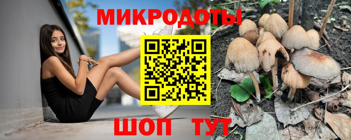 Галлюциногенные грибы GOLDEN TEACHER Ногинск