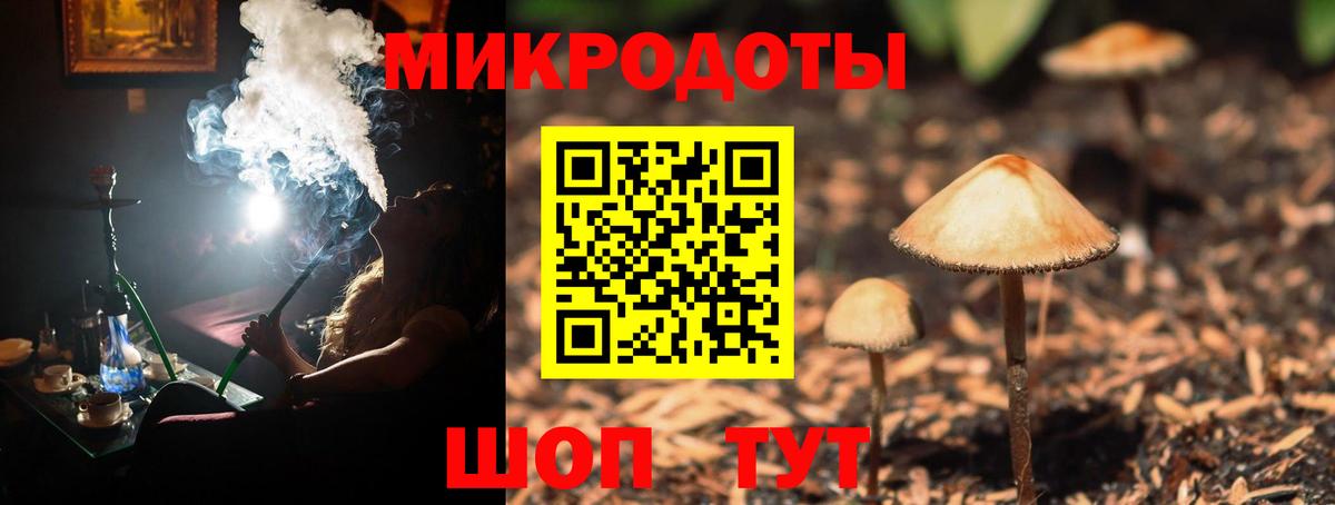 Ногинск  Галлюциногенные грибы Magic Shrooms  цена   Вход с VPN 